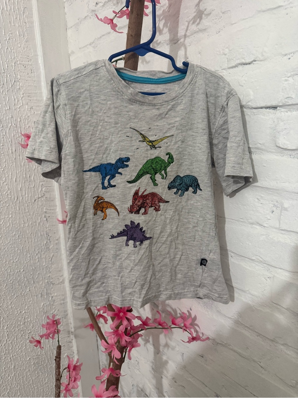 Kids Grey Short Sleeve Dinosaur Tee - Multicolor Dino Print